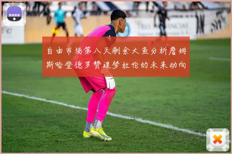 自由市场第八天剩余大鱼分析詹姆斯哈登德罗赞追梦杜伦的未来动向